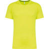 Fluorescent Yellow