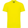 Fluorescent Yellow
