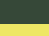 Paramedic Green/Yellow