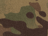 Multicam