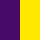 Purple|Sun Yellow