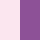 Rose|Purple